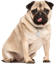 Load image into Gallery viewer, DIY Reusable Dog Tag For Dogs Engraved Funny Personalized Custom Dog Cat ID Tag Pet tag Cat Puppy Pet Id Pet Tags For Dogs Cats Kitten Collar Tag For New Pets Puppy Cats Round Shape Hilarious
